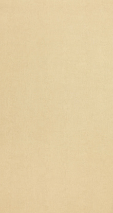 Бежевые обои в спальню Bn International Color Stories BN 46003